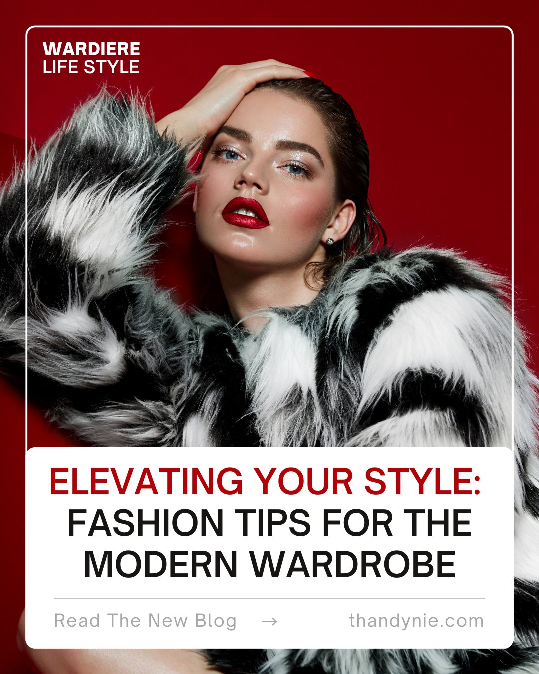 Elevating Your Style: Fashion Tips for the Modern Wardrobe - Thandynie