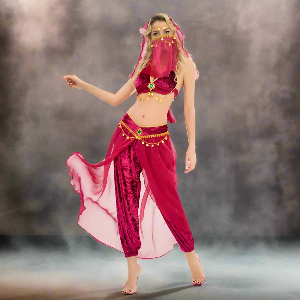 Women's Sexy Mesh Belly Dance Costume – Indian Belly Dancing Performance Dress