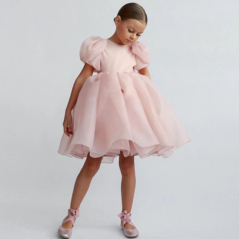 Elegant Princess Tulle Dress for Teenage Girls | Long Lace Wedding & Party Gown for Kids Pink