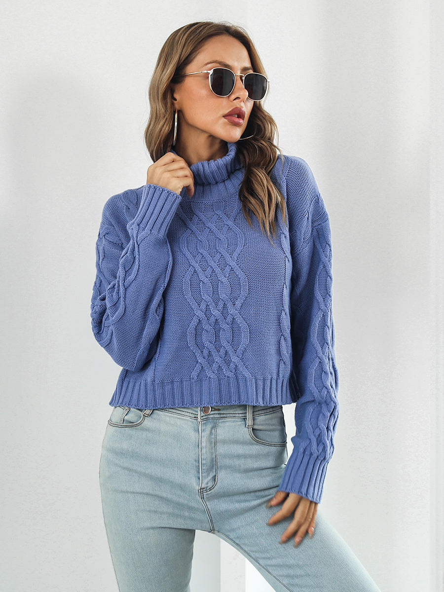 Turtleneck Dropped Shoulder Sweater