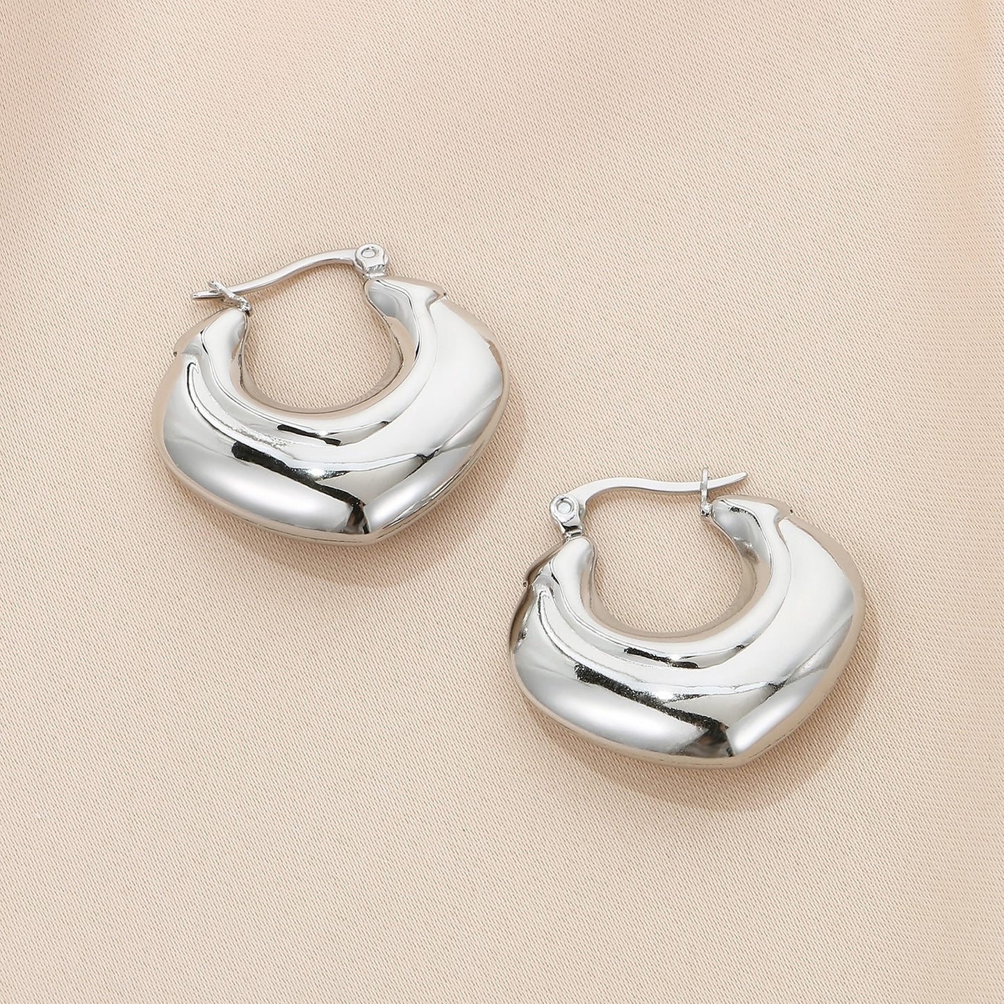 Stainless Steel Hinged Hoop Earrings - Thandynie