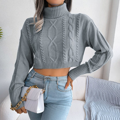 Mixed Knit Turtleneck Cropped Sweater